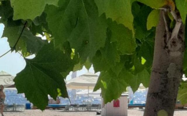 Apartament D&C Mamaia