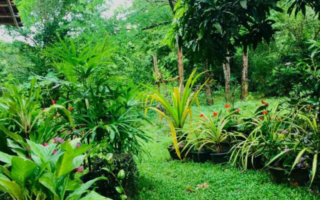 Mama Daisy's Homestay Rekawa.