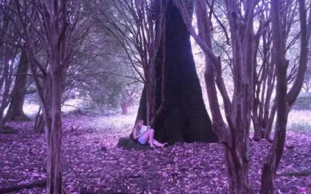 Pousada Fazenda das Bicas