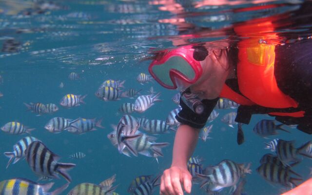 The Barat Tioman Beach Resort