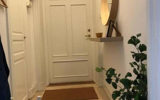 Bohemian and light one room apartment in SoFo 31sqm