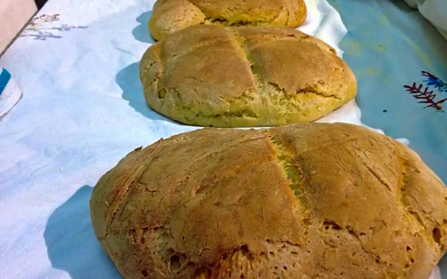 Bed & Breakfast StudioArcodia