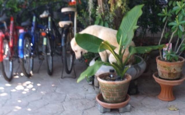 Samsha Guest House