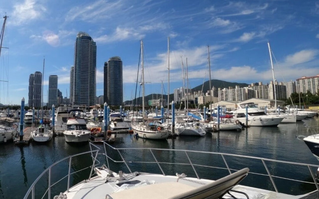Yacht King
