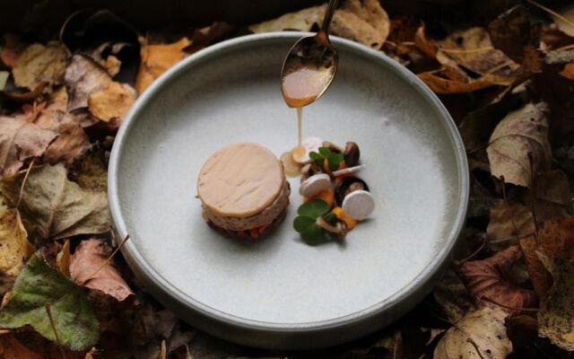 Havezathe Carpe Diem