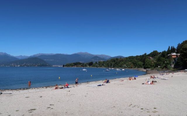 Nel Bosco (Lgi220)