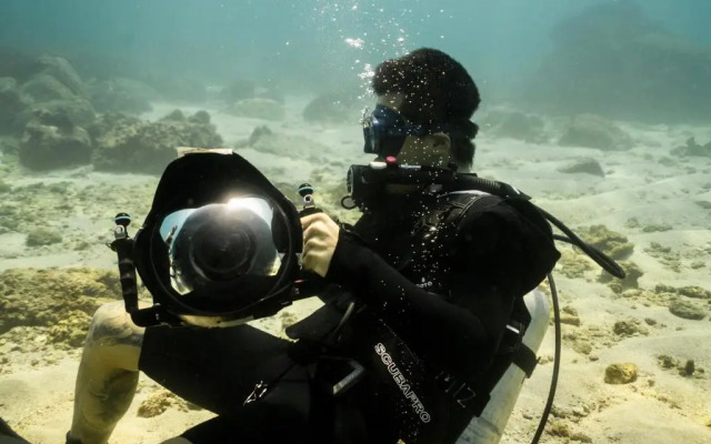 Cardamon Hotel Nilaveli