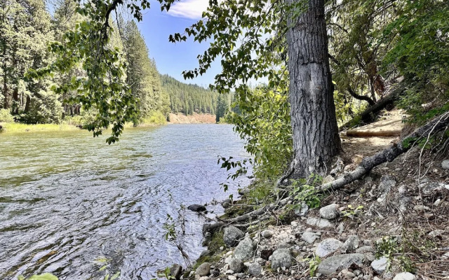 River Song Cabin 3 Bedroom Home