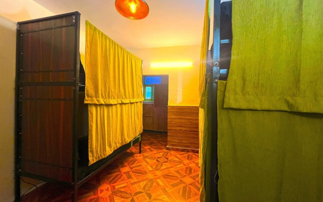 Trippy Turtle Hostel