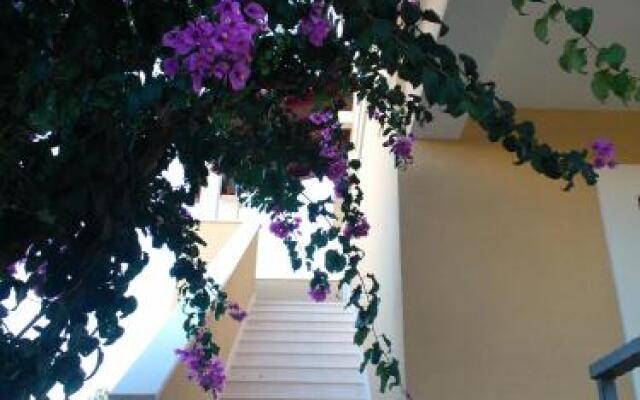 Tone & Marta Apartments