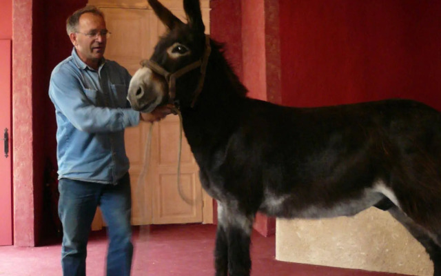 Château-monastère de La Corroirie