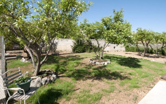 Apartment in Seget Donji With Terrace