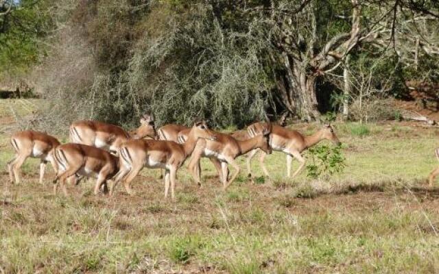 Nyala Guest House