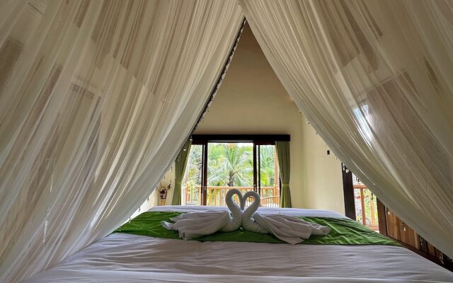 Green Coco Suite