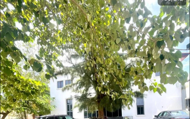 Wine House, Maitama, Abuja