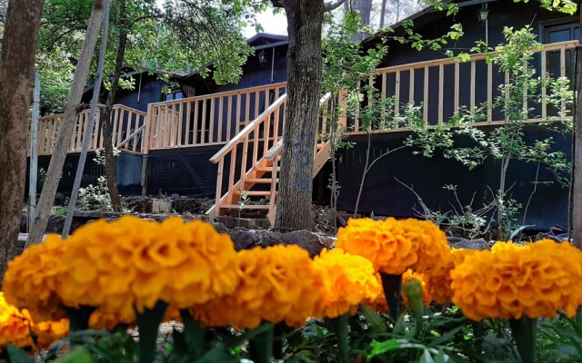 Altaris Bungalows Olympos