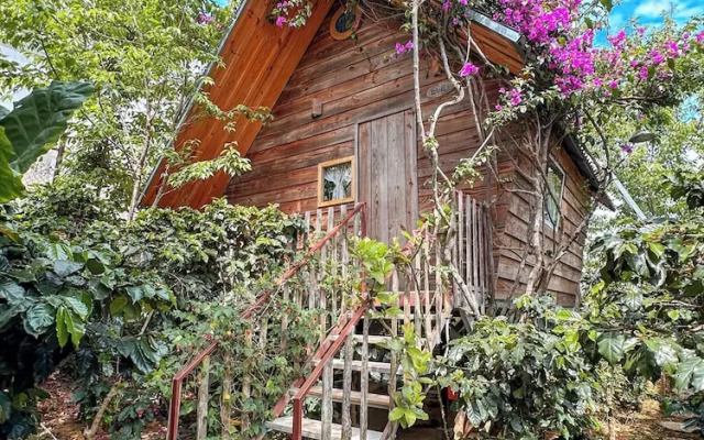 September Garden