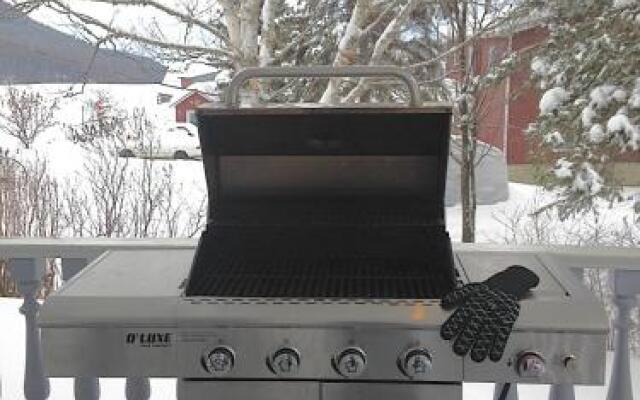 The Rustic House of the Fjord