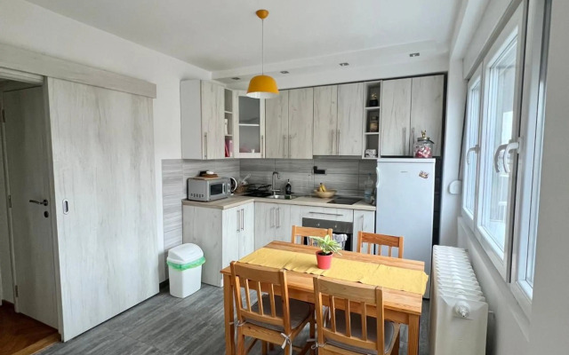 Comfortable apartment in city hub