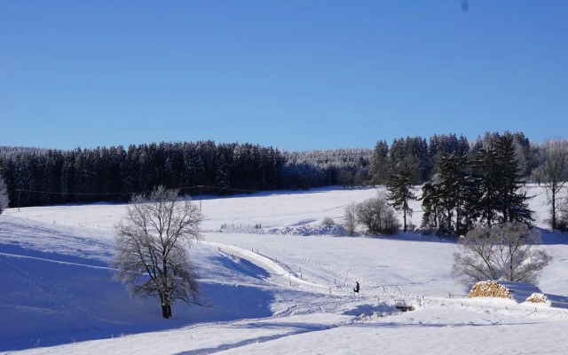 Wanderlust - Thüringer Wald, Rennsteig, Finsterbergen