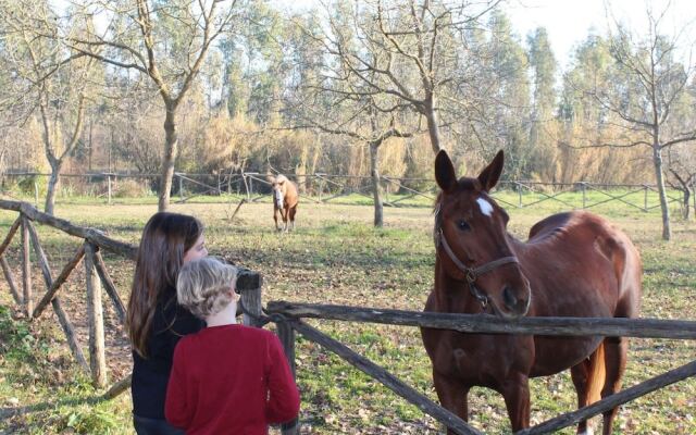 Agriturismo Pony Ranch - 6