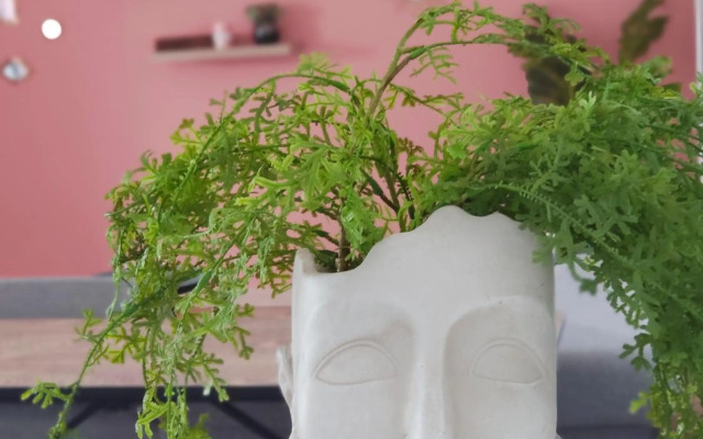 TERLA Bel Appartement 3 Pieces Clim & Parking