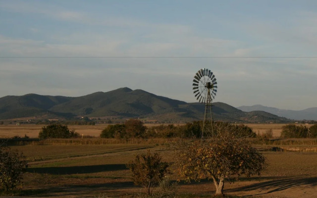 Vento di Maremma