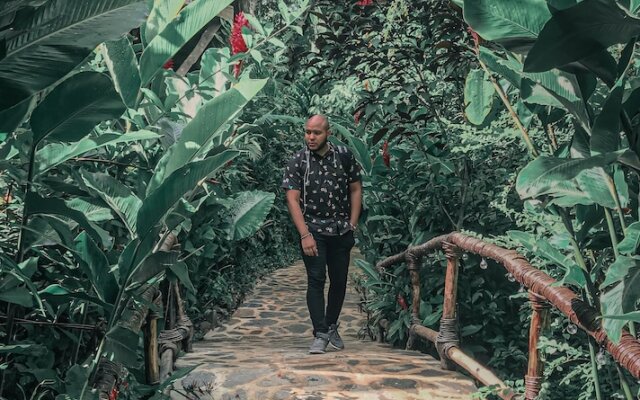 Dominican Tree House