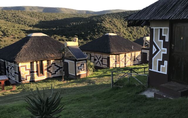 Addo Bush Palace Private Reserve