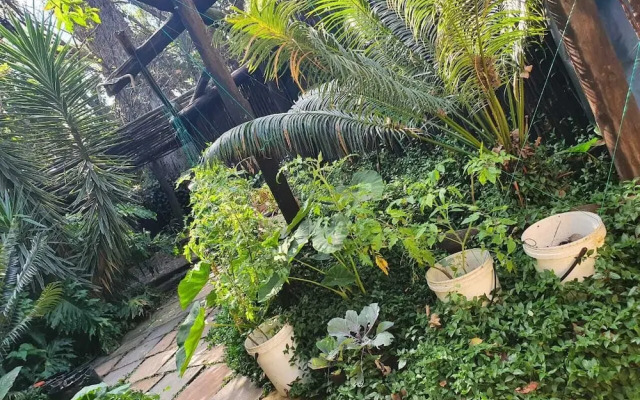 Breena BnB Guest House