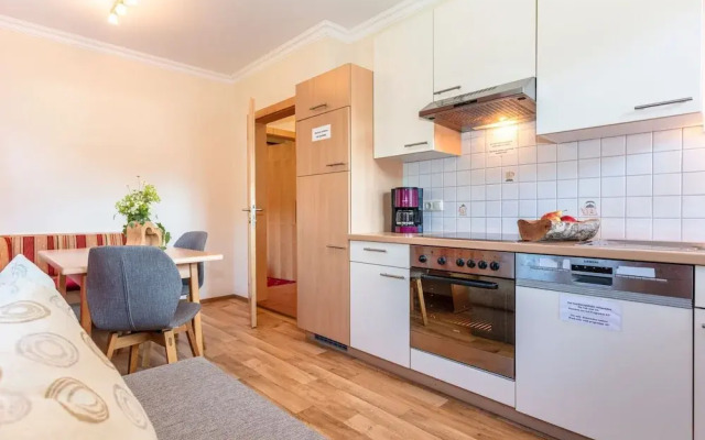 Elegant Apartment in Saalbach-hinterglemm Near Ski Bus