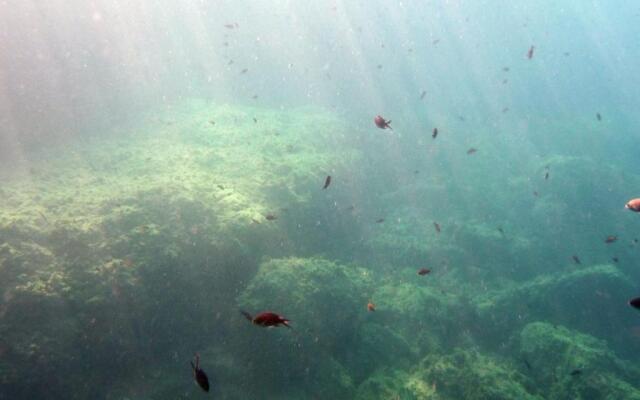 Appartamenti La Quiete