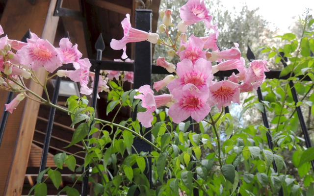 St. George’s Cathedral Pilgrim Guesthouse – Jerusalem
