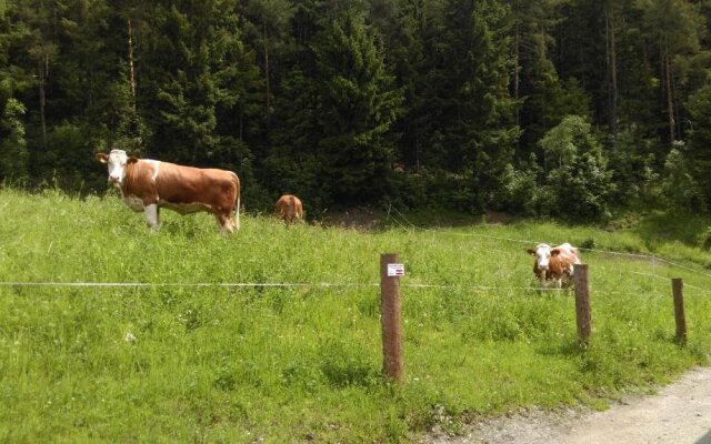 Saumerhof - Fam. Trinker Marion Und Wolfgang
