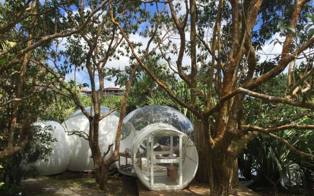 Bubble Lodge Bois Chéri