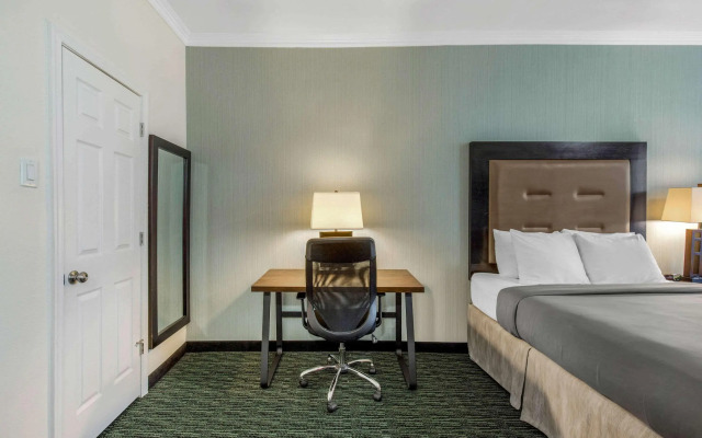 Quality Inn Center City