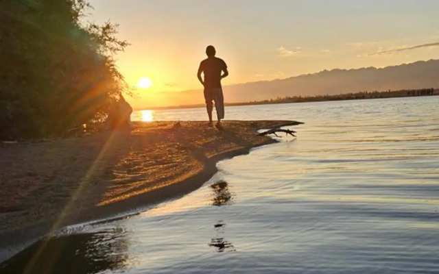 Waterfall in the yard