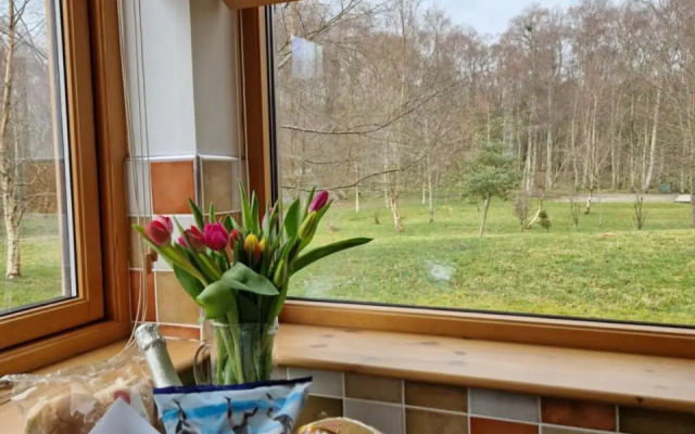 Lodges at the Mains (Adults Only)