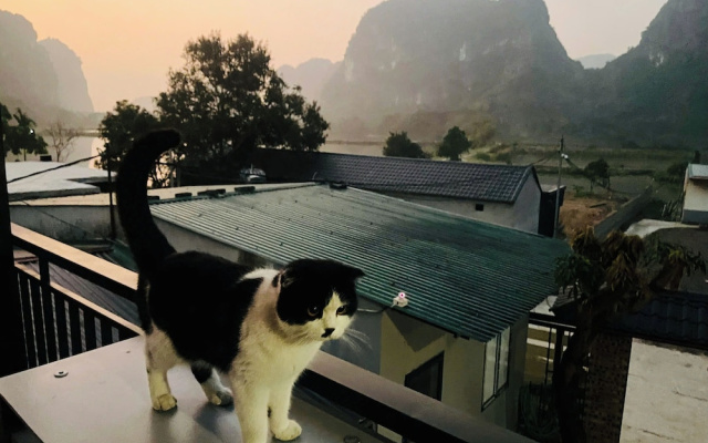 Trang An Pristine View Homestay