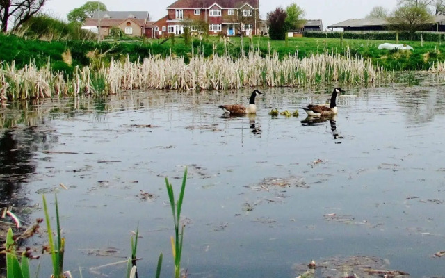 The Moorhead Bed & Breakfast