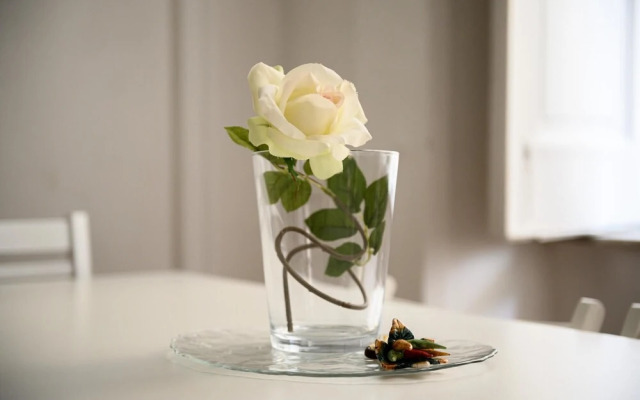 Piazza Portanova 11 - Appartamento Grande