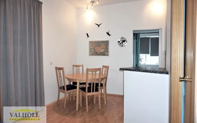 Reykjavik Center Condos