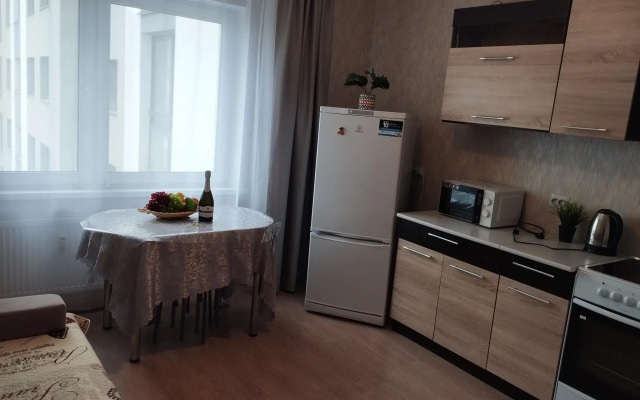 Apartments on Novoselov street 107