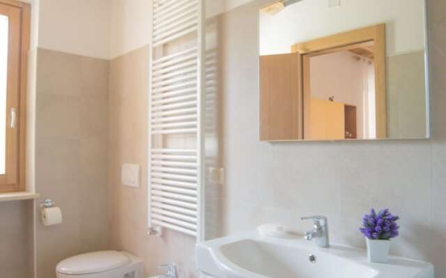 Società Agricola Zucchera S.S.