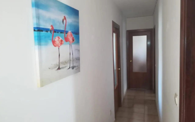 Apartamento balcones del Tajo 2