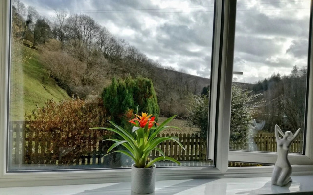 Neuadd Wen Country Guest House