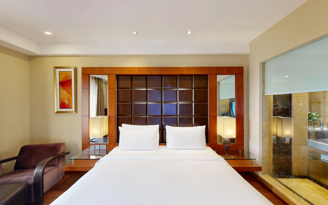 Radisson Blu Plaza Delhi Airport - Image 5