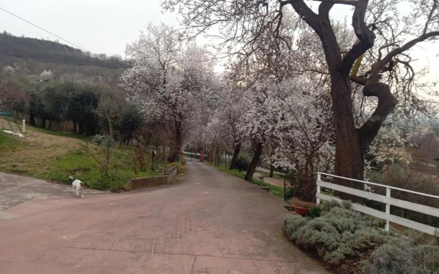 Casa via degli Ulivi 13