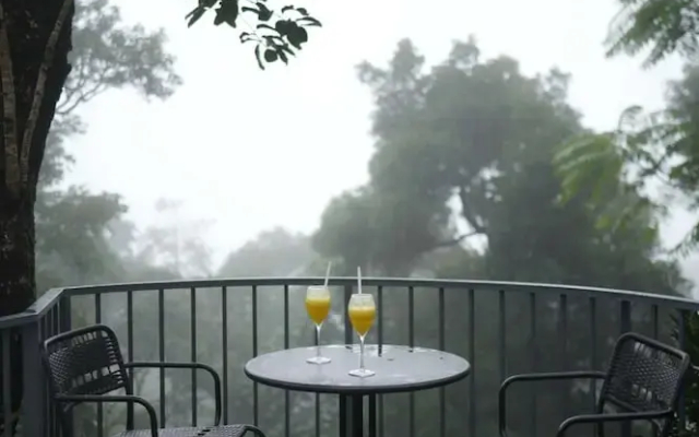 Willmount Geodesic Domes Vagamon