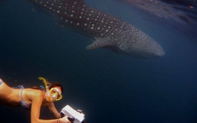 Ningaloo Lodge Exmouth